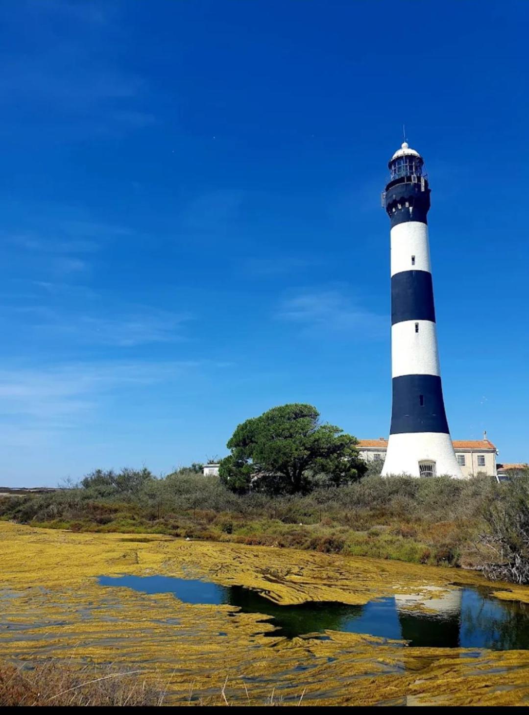 Villa Semaphore Salin de Giraud Bagian luar foto