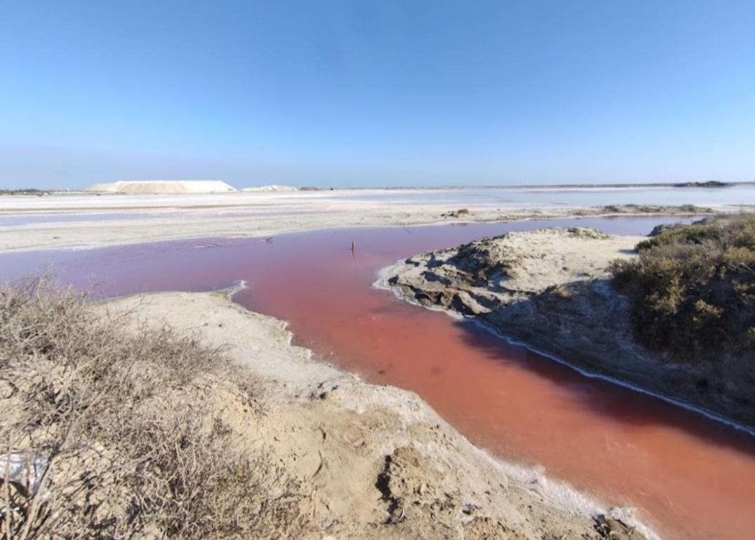 Villa Semaphore Salin de Giraud Bagian luar foto